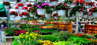 gallery tools for independent garden center